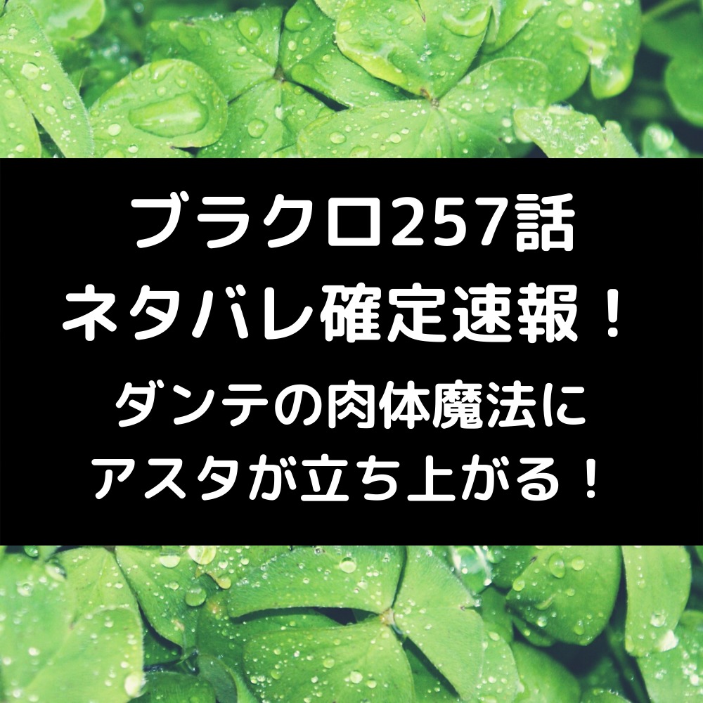 ブラクロ257話ネタバレ確定速報！ダンテの肉体魔法にアスタが立ち上がる！