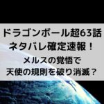 ドラゴンボール超漫画63話ネタバレ最新速報！メルスの覚悟で天使の規則を破り消滅？