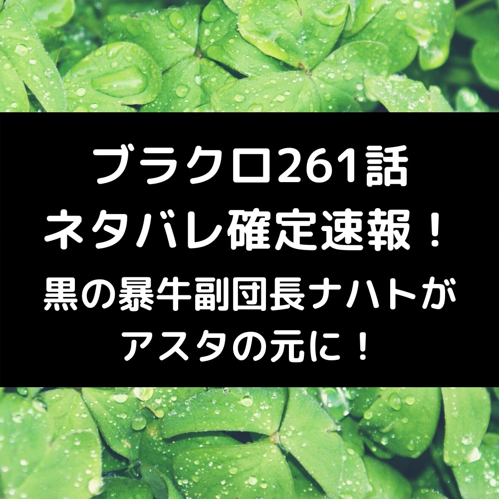 ブラクロ261話ネタバレ最新話確定速報！黒の暴牛副団長ナハトがアスタの元に！