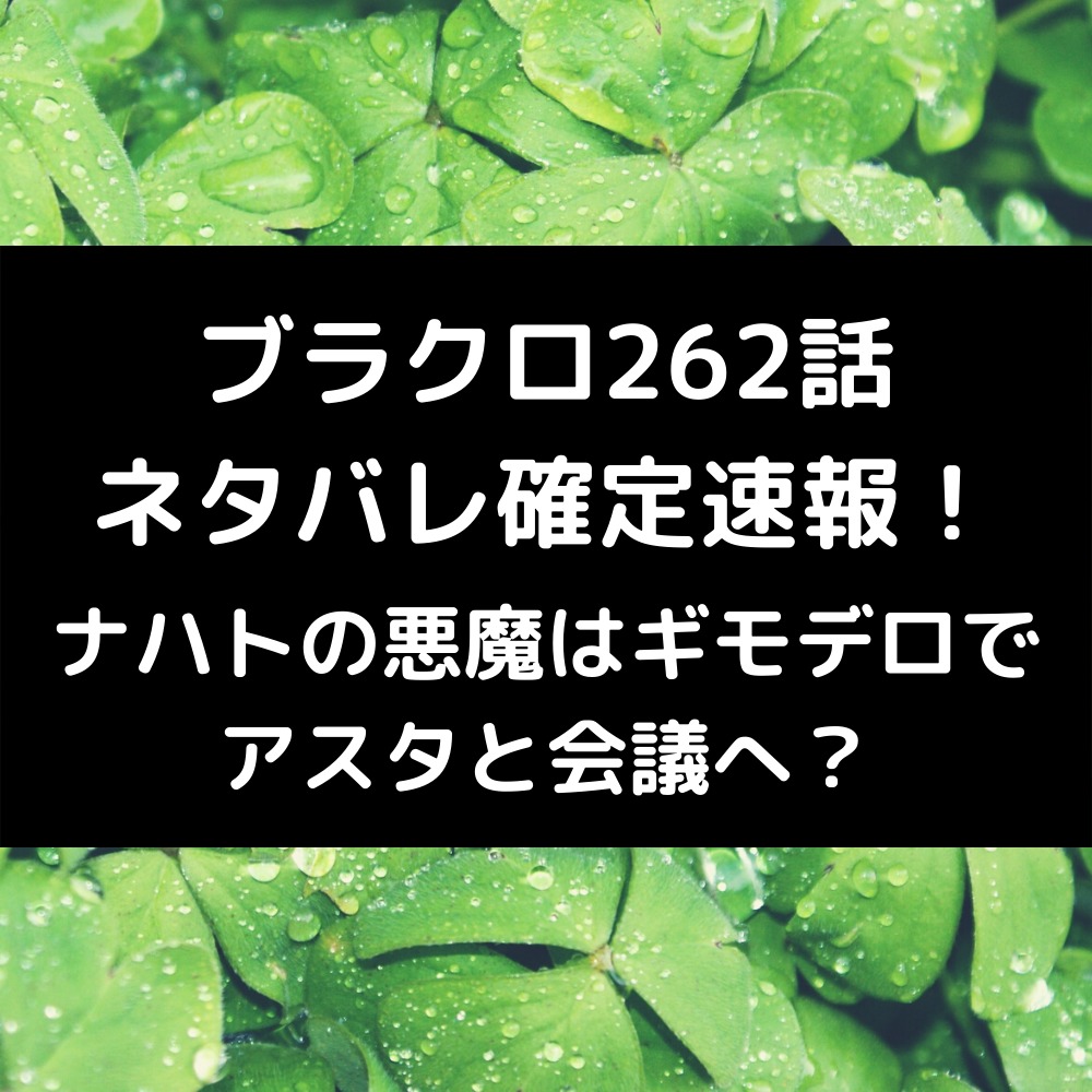 ブラクロ262話ネタバレ最新話確定速報！ナハトの悪魔はギモデロでアスタと会議へ？