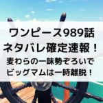 ワンピース989話ネタバレ確定速報！麦わらの一味勢ぞろいでビッグマムは一時離脱！