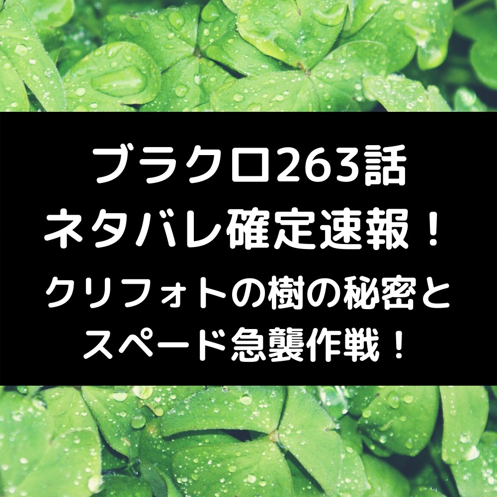 ブラクロ263話ネタバレ確定速報！クリフォトの樹の秘密とスペード急襲作戦！