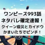 ワンピース993話ネタバレ確定速報！クイーン疫災とカイドウかまいたちでピンチ！