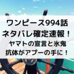 ワンピース994話ネタバレ確定速報！ヤマトの宣言と氷鬼抗体がアプーの手に！