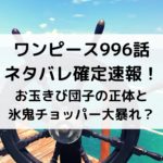 ワンピース996話ネタバレ確定速報！お玉きび団子の正体と氷鬼チョッパー大暴れ？
