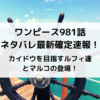 ワンピース981話ネタバレ最新確定速報！カイドウを目指すルフィ達とマルコの登場！