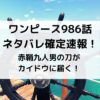 ワンピース986話ネタバレ確定速報！赤鞘九人男の刀がカイドウに届く！